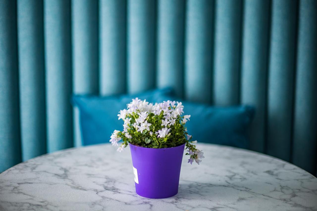 Hold - Luxury Couette-café